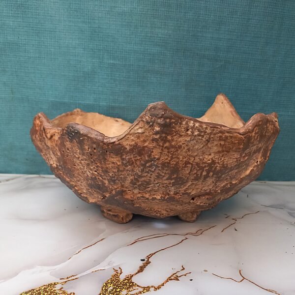 grand pot pour plante à caudex, cactus, succulente, Bonsaï – Image 10