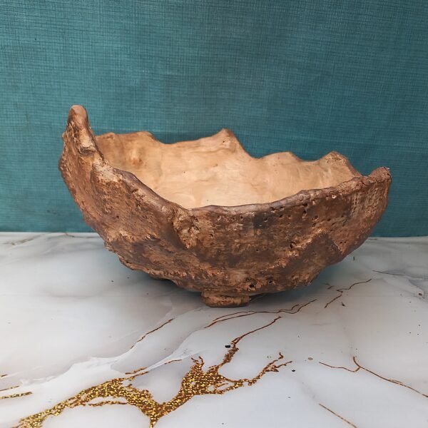 grand pot pour plante à caudex, cactus, succulente, Bonsaï – Image 8