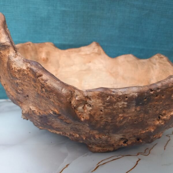 grand pot pour plante à caudex, cactus, succulente, Bonsaï – Image 7
