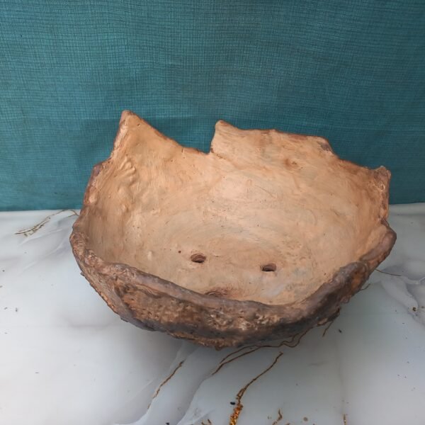 grand pot pour plante à caudex, cactus, succulente, Bonsaï – Image 4