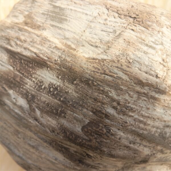 pot boule artisanal pour plantes grasses ou vertes – Image 7