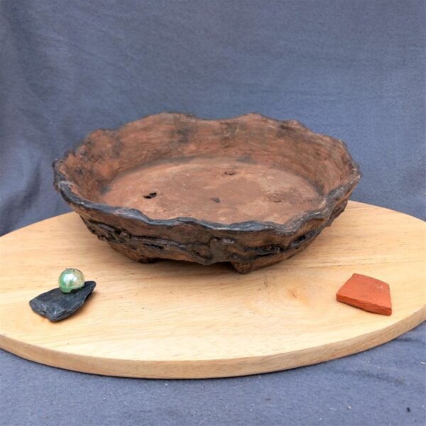 coupe ronde pour Bonsaï aspect terre cuite – Image 5