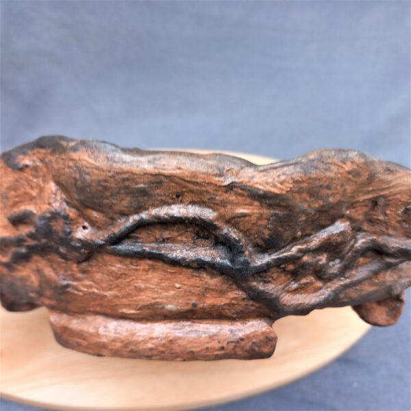 coupe ronde pour Bonsaï aspect terre cuite – Image 8