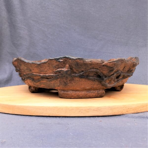 coupe ronde pour Bonsaï aspect terre cuite