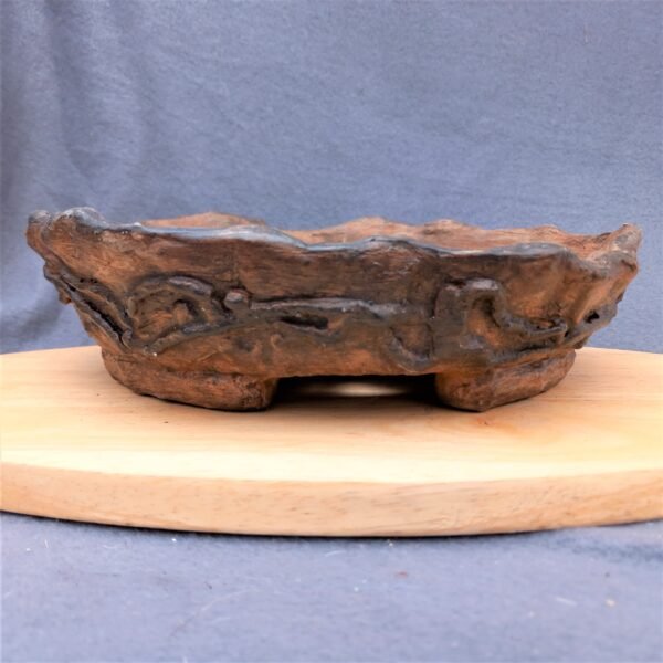 coupe ronde pour Bonsaï aspect terre cuite – Image 4