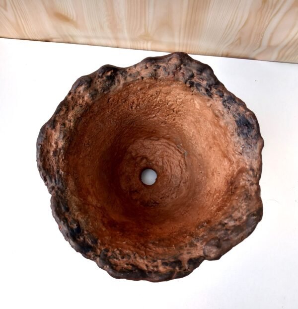 pot  rond évasé pour plante à caudex, cactus, succulentes – Image 5