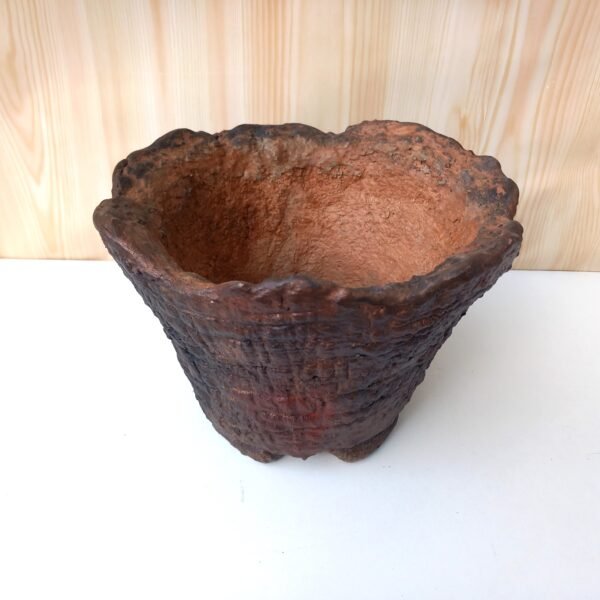 pot  rond évasé pour plante à caudex, cactus, succulentes – Image 4