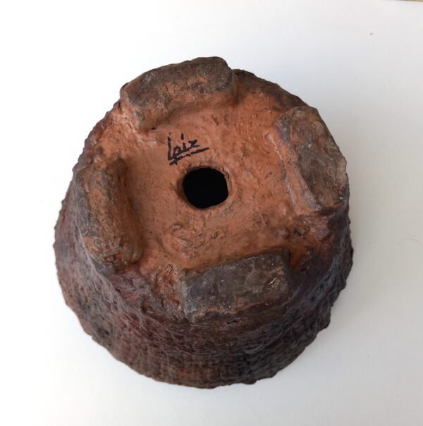 pot  rond évasé pour plante à caudex, cactus, succulentes – Image 2