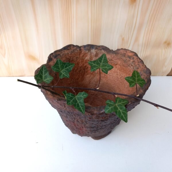 pot  rond évasé pour plante à caudex, cactus, succulentes – Image 11