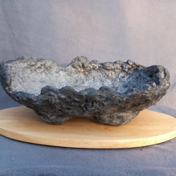 pot  Bonsaï aspect rocher, artisanal – Image 2