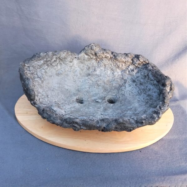 pot  Bonsaï aspect rocher, artisanal – Image 5