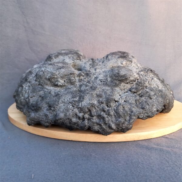 pot  Bonsaï aspect rocher, artisanal – Image 7
