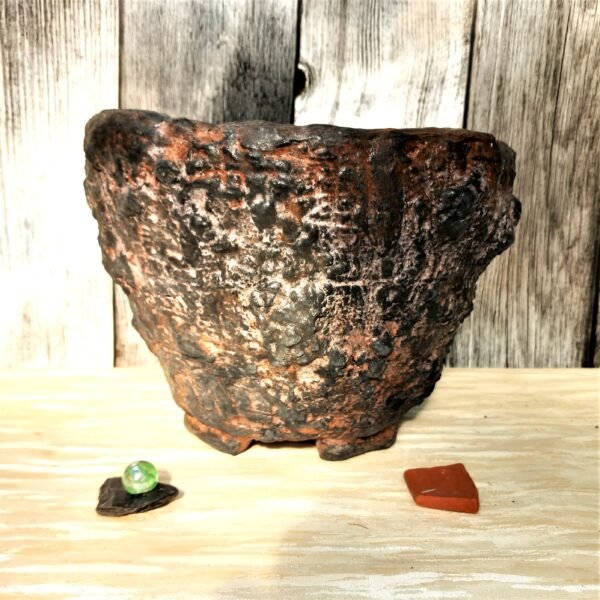 pot pour caudex, cactus, succulentes – Image 10