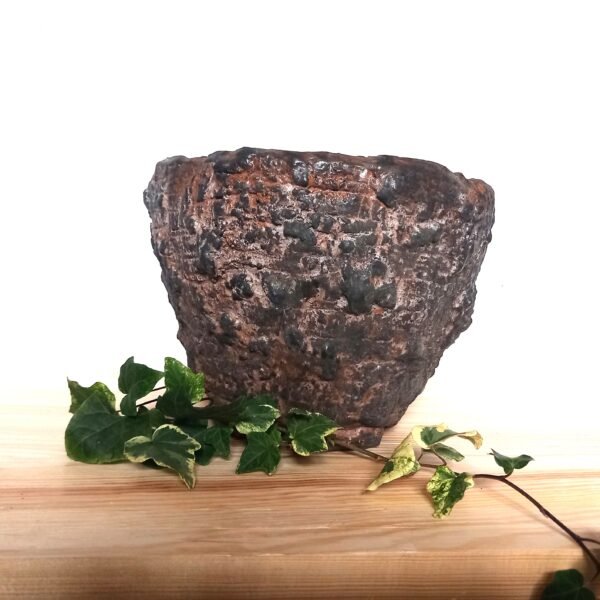 pot pour caudex, cactus, succulentes