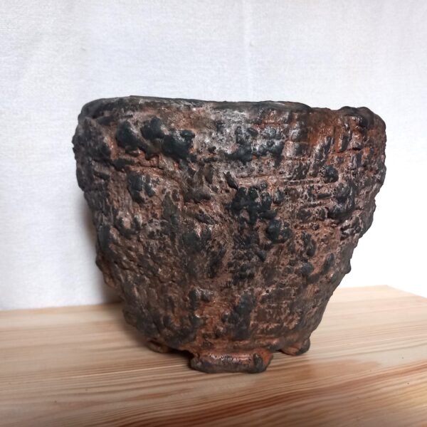 pot pour caudex, cactus, succulentes – Image 7