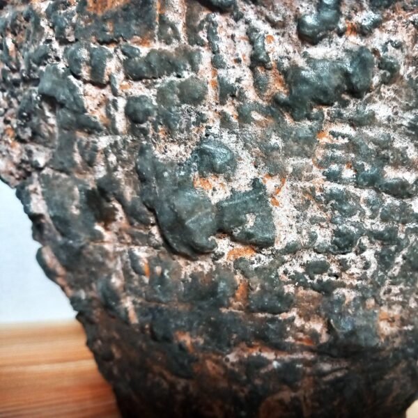 pot pour caudex, cactus, succulentes – Image 6
