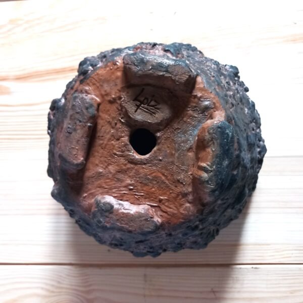 pot pour caudex, cactus, succulentes – Image 3
