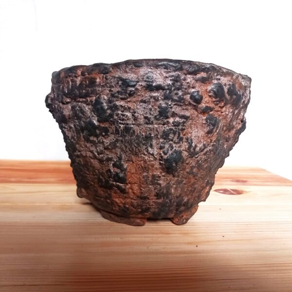 pot pour caudex, cactus, succulentes – Image 11