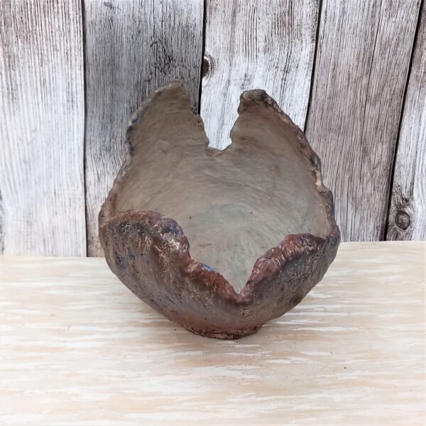 pot coquille pour succulentes, cactus, caudex – Image 6