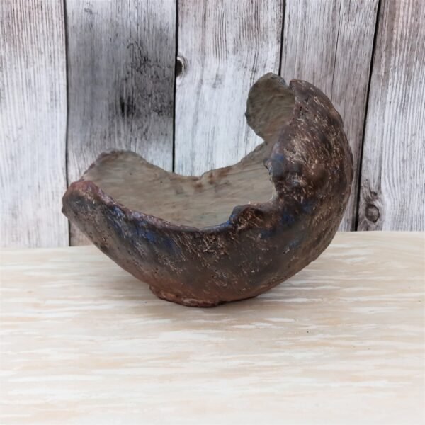 pot coquille pour succulentes, cactus, caudex – Image 3