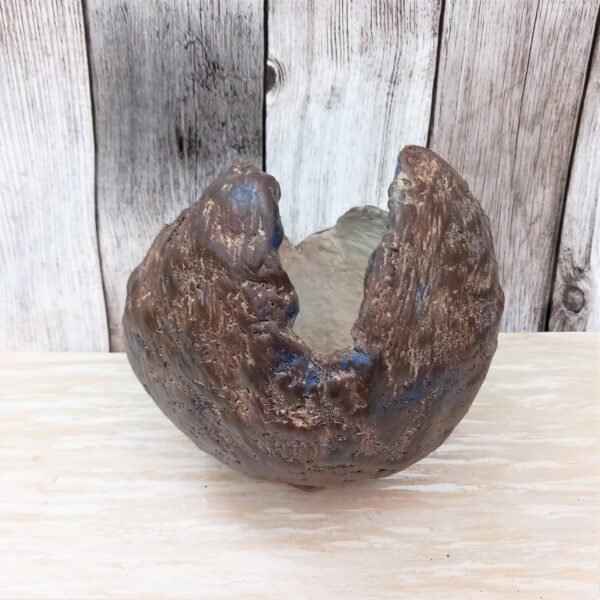 pot coquille pour succulentes, cactus, caudex – Image 7