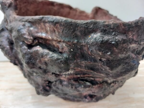 pot pour  plantes vertes , succulente, cactus, caudex – Image 10