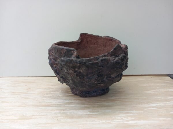 pot pour  plantes vertes , succulente, cactus, caudex – Image 5
