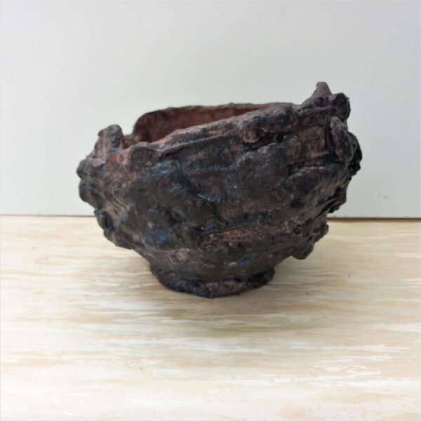 pot pour  plantes vertes , succulente, cactus, caudex – Image 3