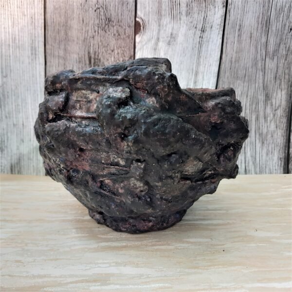 pot pour  plantes vertes , succulente, cactus, caudex