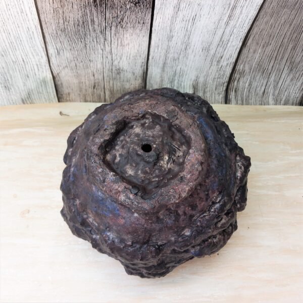 pot pour  plantes vertes , succulente, cactus, caudex – Image 8