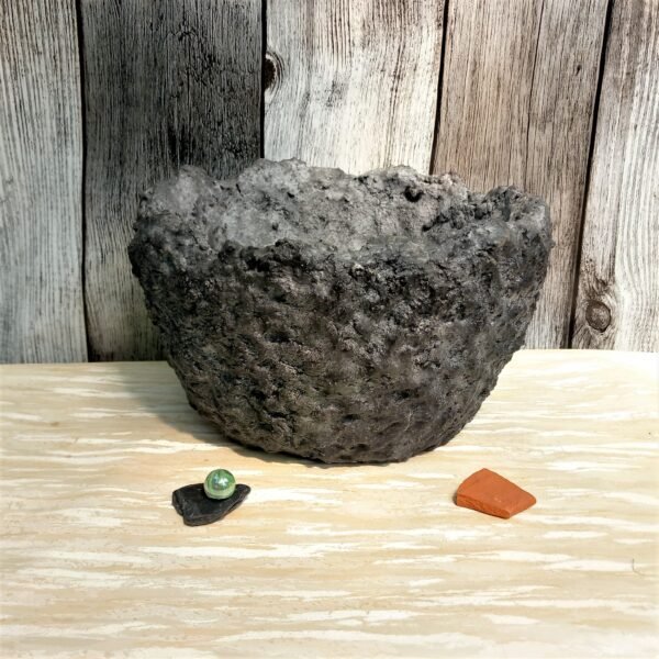 grand pot rond pour cactus, succulentes , plantes vertes ou caudex