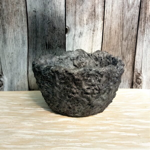 grand pot rond pour cactus, succulentes , plantes vertes ou caudex – Image 4