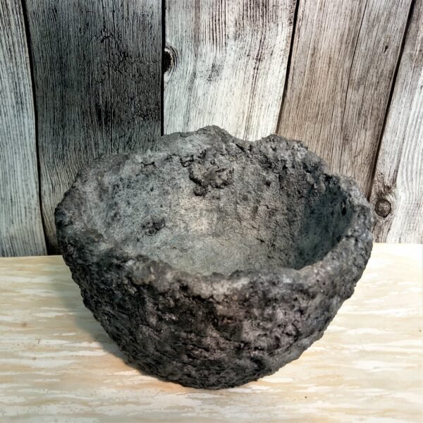 grand pot rond pour cactus, succulentes , plantes vertes ou caudex – Image 5