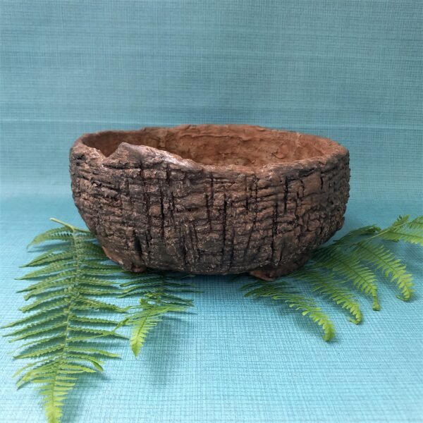 grand pot rond bas pour cactus, succulentes, caudex
