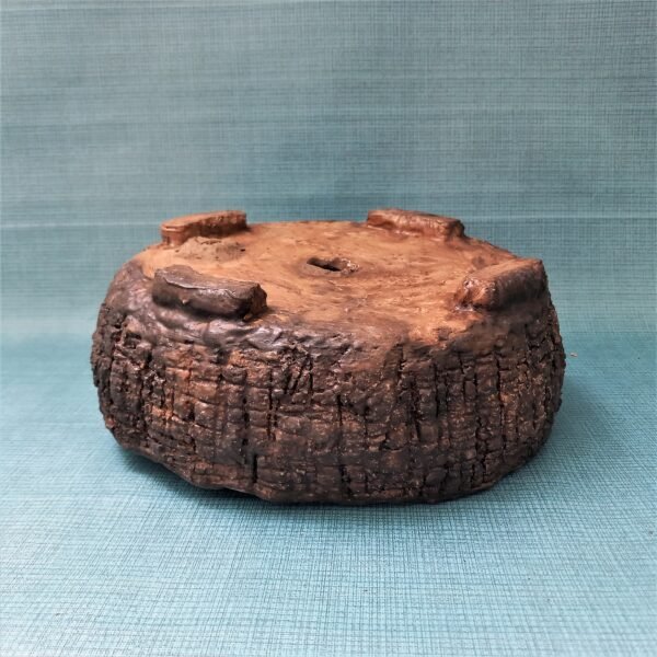 grand pot rond bas pour cactus, succulentes, caudex – Image 6