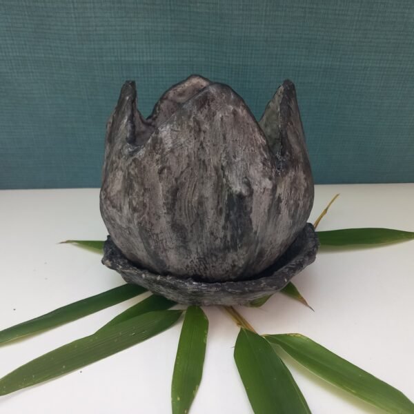 pot pour plante  avec soucoupe