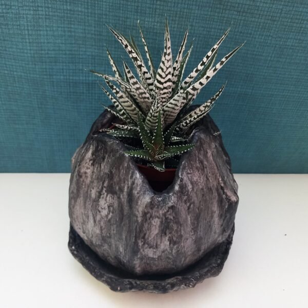 pot pour plante  avec soucoupe – Image 6