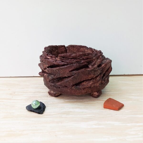 pot pour cactus succulente caudex