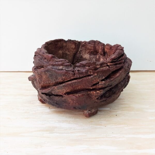 pot pour cactus succulente caudex – Image 7