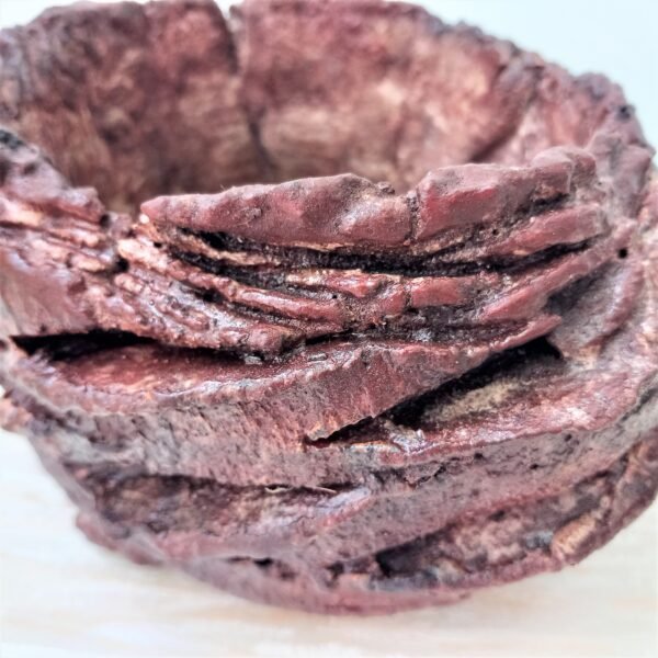 pot pour cactus succulente caudex – Image 6