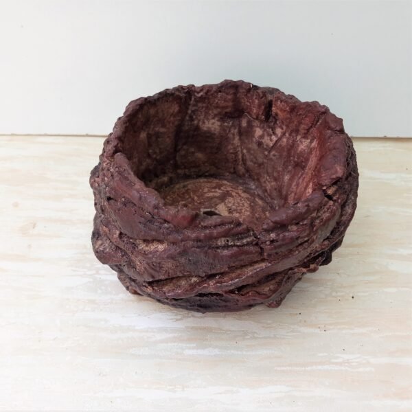 pot pour cactus succulente caudex – Image 3