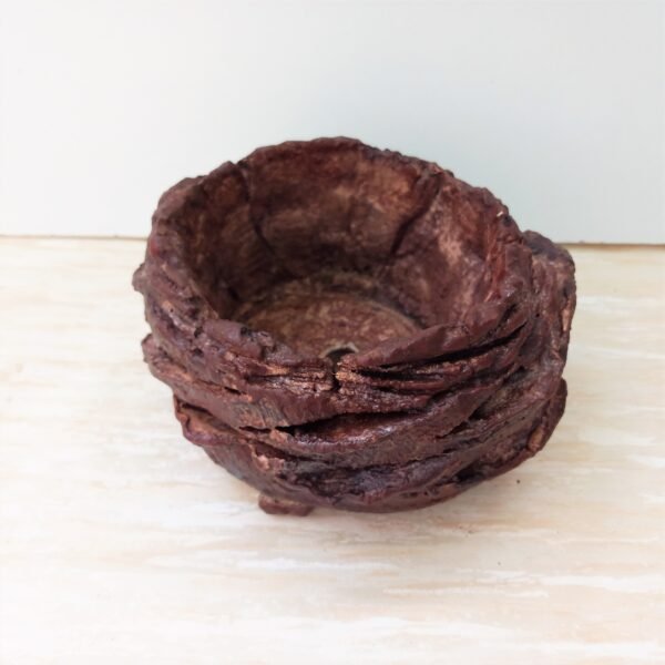 pot pour cactus succulente caudex – Image 2