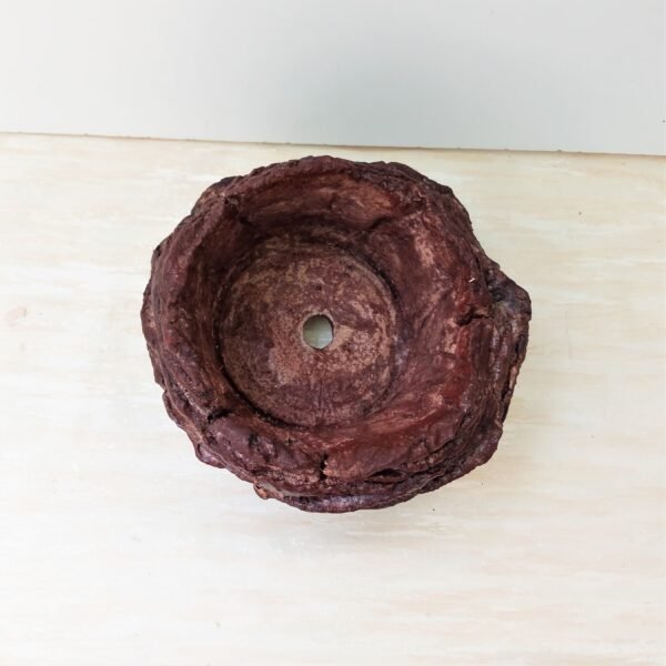 pot pour cactus succulente caudex – Image 11