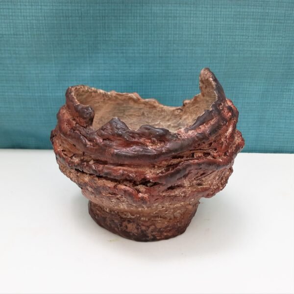 pot rond pour plante grasse et caudex – Image 2