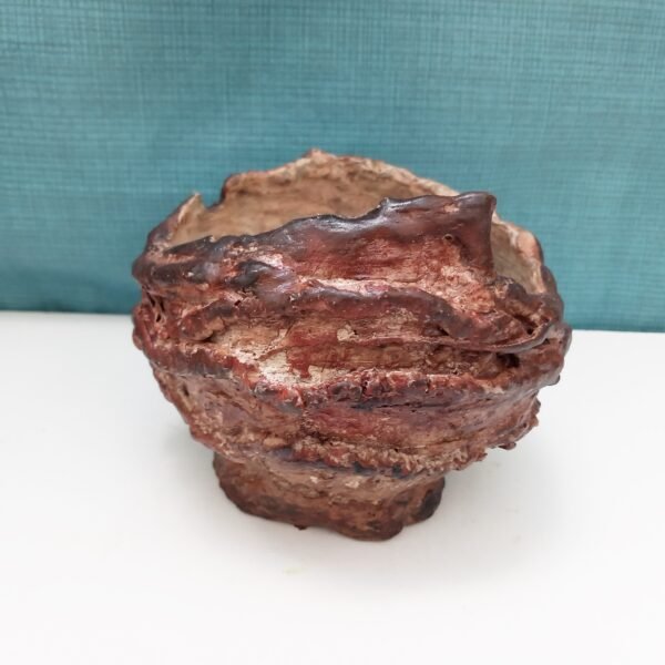 pot rond pour plante grasse et caudex – Image 4