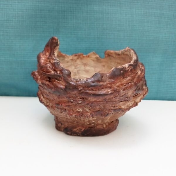 pot rond pour plante grasse et caudex