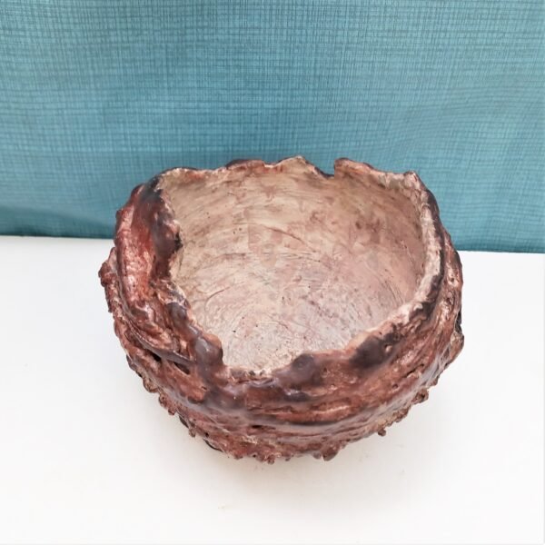 pot rond pour plante grasse et caudex – Image 3