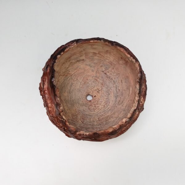 pot rond pour plante grasse et caudex – Image 6
