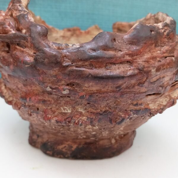 pot rond pour plante grasse et caudex – Image 10