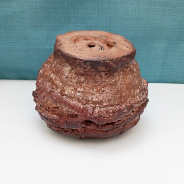 pot rond pour plante grasse et caudex – Image 8